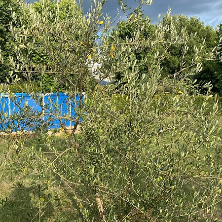 La Casina D' Avena Feriehus